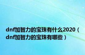 dnf加智力的宝珠有什么2020（dnf加智力的宝珠有哪些）