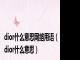 dior什么意思网络用语（dior什么意思）