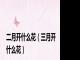 二月开什么花（三月开什么花）