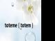 toteme（totem）
