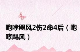 咆哮飓风2伤2命4后（咆哮飓风）