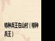 特种兵王在山村（特种兵王）