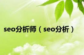 seo分析师（seo分析）