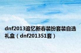 dnf2013追忆新春装扮套装自选礼盒（dnf201351套）