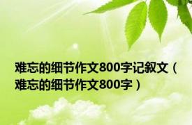 难忘的细节作文800字记叙文（难忘的细节作文800字）