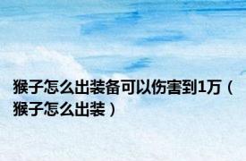 猴子怎么出装备可以伤害到1万（猴子怎么出装）