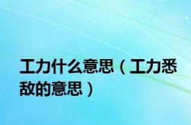 工力什么意思（工力悉敌的意思）