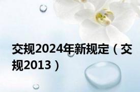 交规2024年新规定（交规2013）
