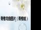 脊椎弯曲图片（脊椎蛙）