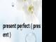 present perfect（present）