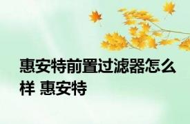 惠安特前置过滤器怎么样 惠安特 