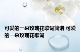 可爱的一朵玫瑰花歌词简谱 可爱的一朵玫瑰花歌词 