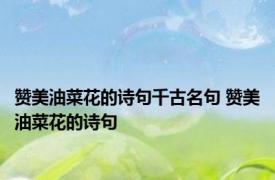 赞美油菜花的诗句千古名句 赞美油菜花的诗句 
