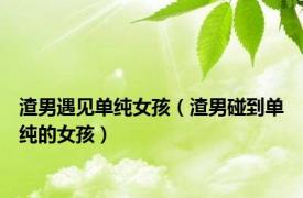 渣男遇见单纯女孩（渣男碰到单纯的女孩）