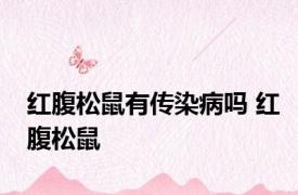 红腹松鼠有传染病吗 红腹松鼠 