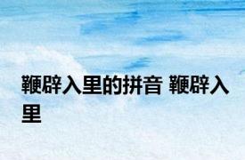 鞭辟入里的拼音 鞭辟入里 