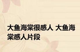 大鱼海棠很感人 大鱼海棠感人片段 