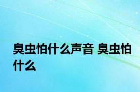 臭虫怕什么声音 臭虫怕什么 