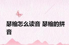 瑟缩怎么读音 瑟缩的拼音 