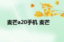 麦芒a20手机 麦芒 