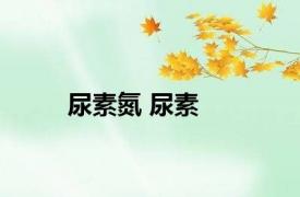 尿素氮 尿素 