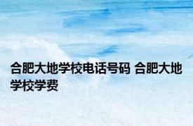合肥大地学校电话号码 合肥大地学校学费 