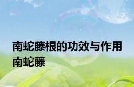 南蛇藤根的功效与作用 南蛇藤 