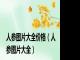 人参图片大全价格（人参图片大全）
