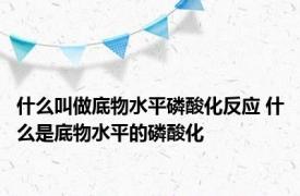 什么叫做底物水平磷酸化反应 什么是底物水平的磷酸化