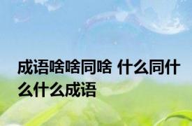 成语啥啥同啥 什么同什么什么成语 