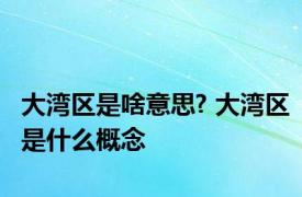 大湾区是啥意思? 大湾区是什么概念