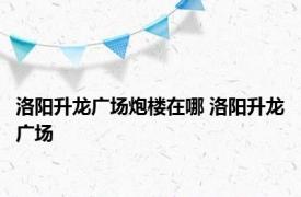 洛阳升龙广场炮楼在哪 洛阳升龙广场 