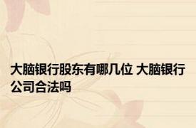 大脑银行股东有哪几位 大脑银行公司合法吗 