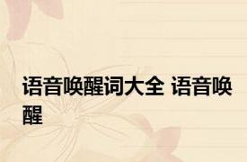 语音唤醒词大全 语音唤醒 