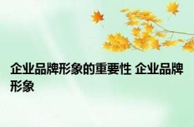 企业品牌形象的重要性 企业品牌形象 