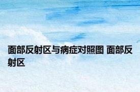 面部反射区与病症对照图 面部反射区 