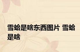 雪蛤是啥东西图片 雪蛤是啥 