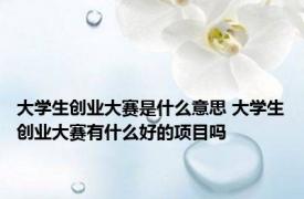 大学生创业大赛是什么意思 大学生创业大赛有什么好的项目吗