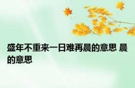 盛年不重来一日难再晨的意思 晨的意思 