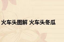 火车头图解 火车头冬瓜 