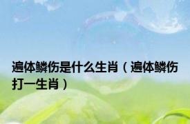 遍体鳞伤是什么生肖（遍体鳞伤打一生肖）