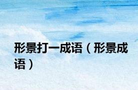 形景打一成语（形景成语）