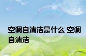 空调自清洁是什么 空调自清洁 