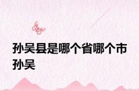 孙吴县是哪个省哪个市 孙吴 