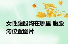 女性腹股沟在哪里 腹股沟位置图片 
