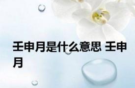 壬申月是什么意思 壬申月 
