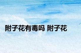附子花有毒吗 附子花 