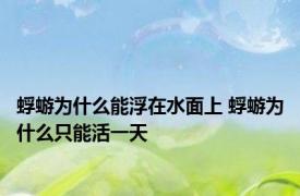 蜉蝣为什么能浮在水面上 蜉蝣为什么只能活一天 