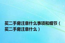 买二手房注意什么事项和细节（买二手房注意什么）