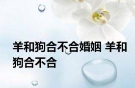 羊和狗合不合婚姻 羊和狗合不合 